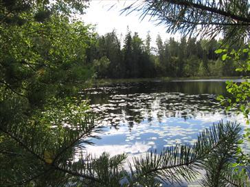 Metsäjärvi Ylämaalla